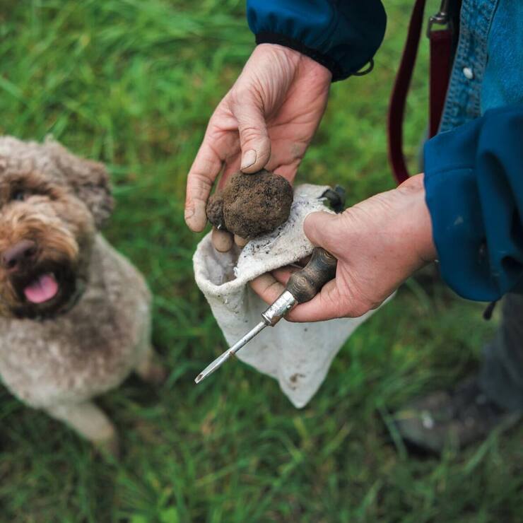 file7igqu7p4nlh1ck19m735