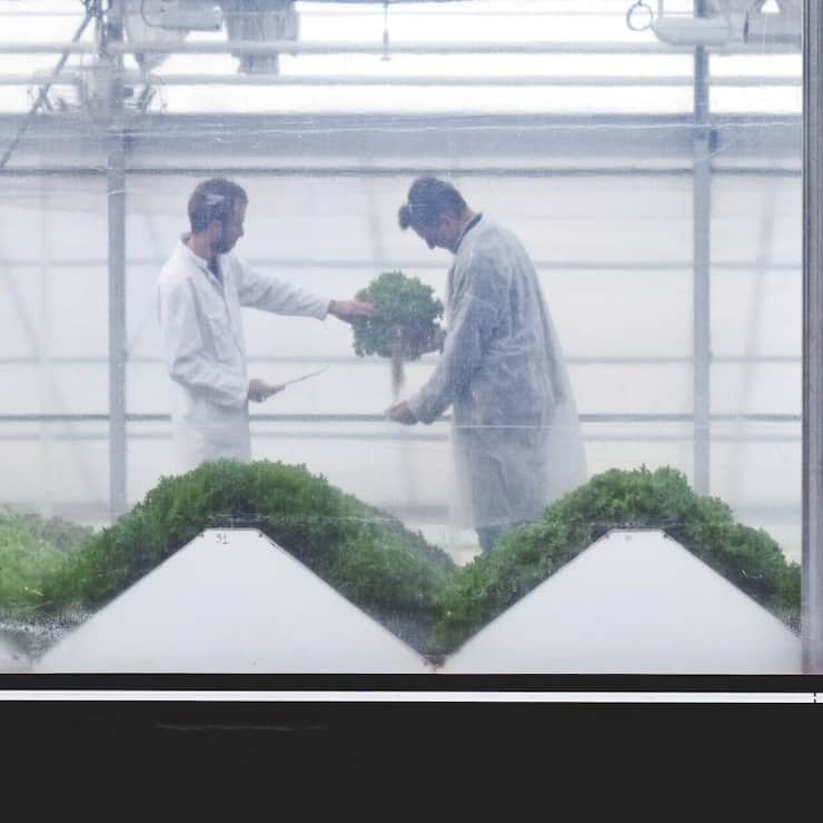 file7l27h08g23tqb8u3781