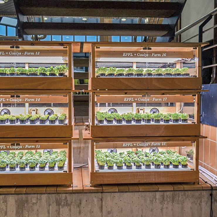 file7e84cogg84l1bptdqj1n