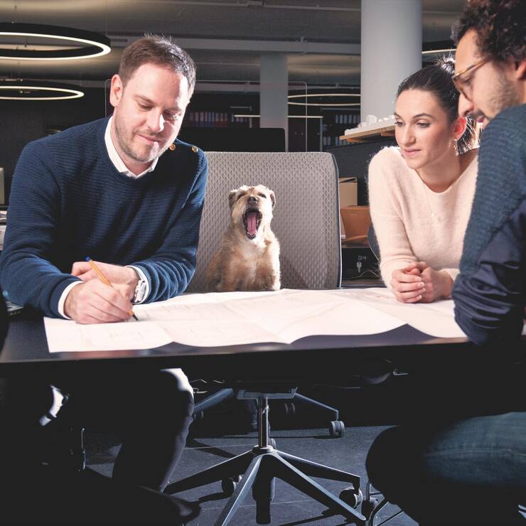 Animaux_bureau_3MB3_