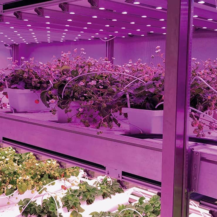 file7ap3xb663ch1e0sneopj