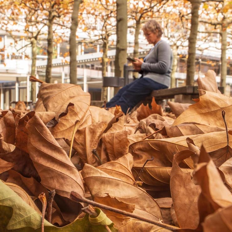 file83bc5viljevdbq90s5q