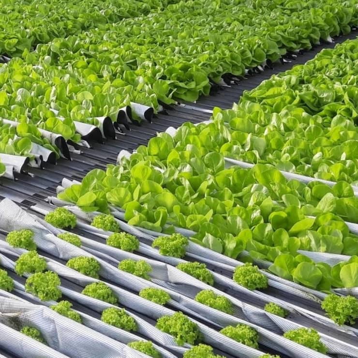 Vue du système installé à Angers, en France.
