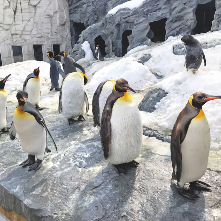 file7mxfedm87kpg6i6iln9