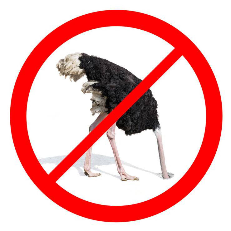 Dédicace au “No Answer Club”