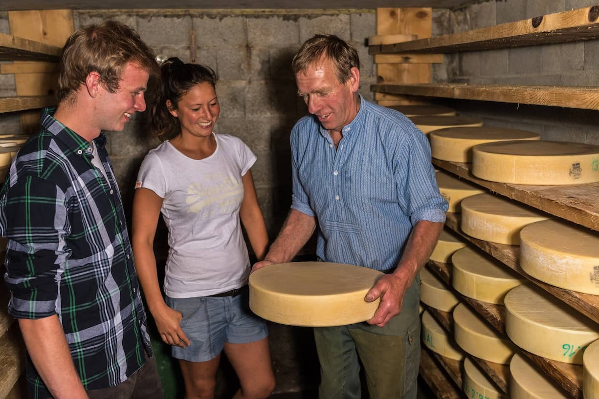 Après une matinée de séminaire, pourquoi pas fabriquer du fromage?
