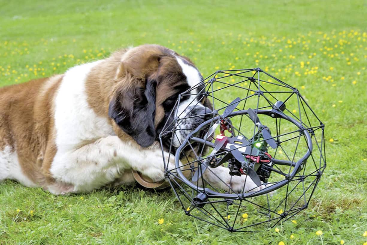 file7ap3gn2fuufqz91vnvp