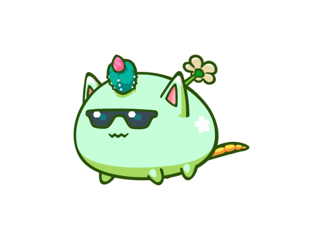 19 Axie Infinity
