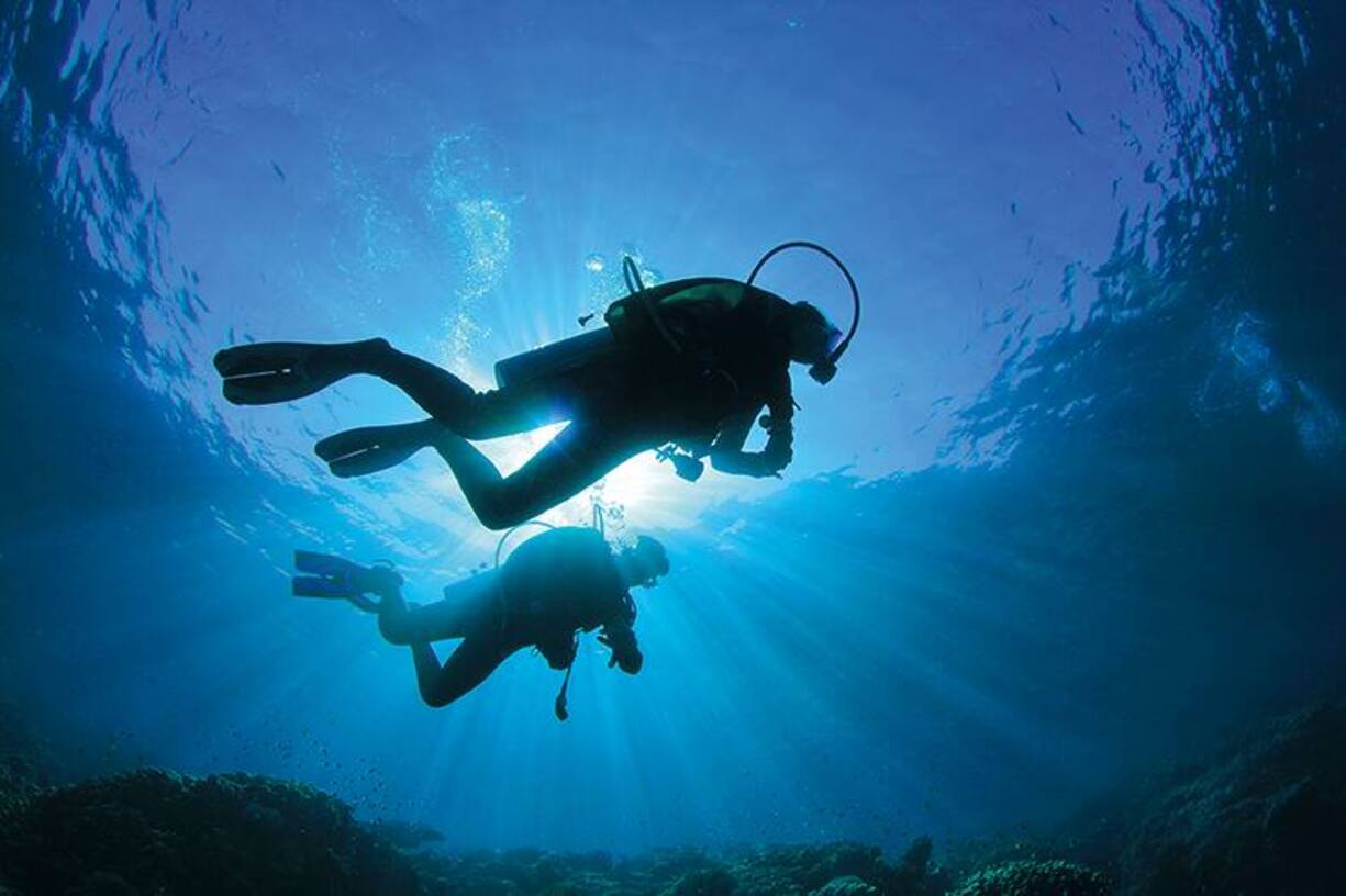 file71z9nvmq24i13b868k0k