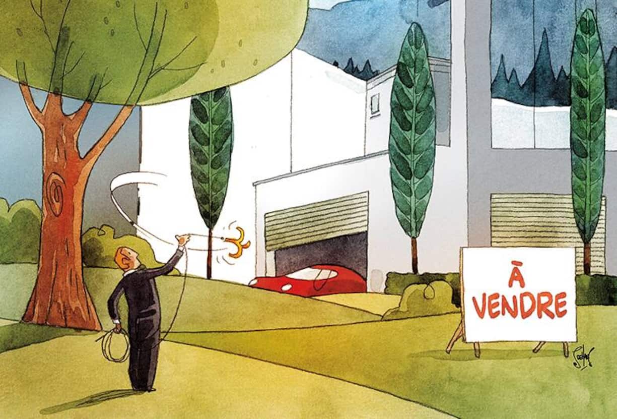 file6zg7y4zzfkmjq5fr2vj