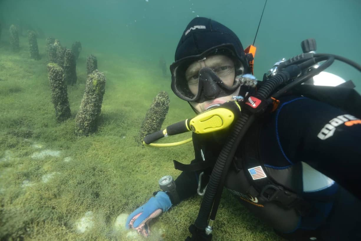 Fabien Langenegger, dendrochronologue