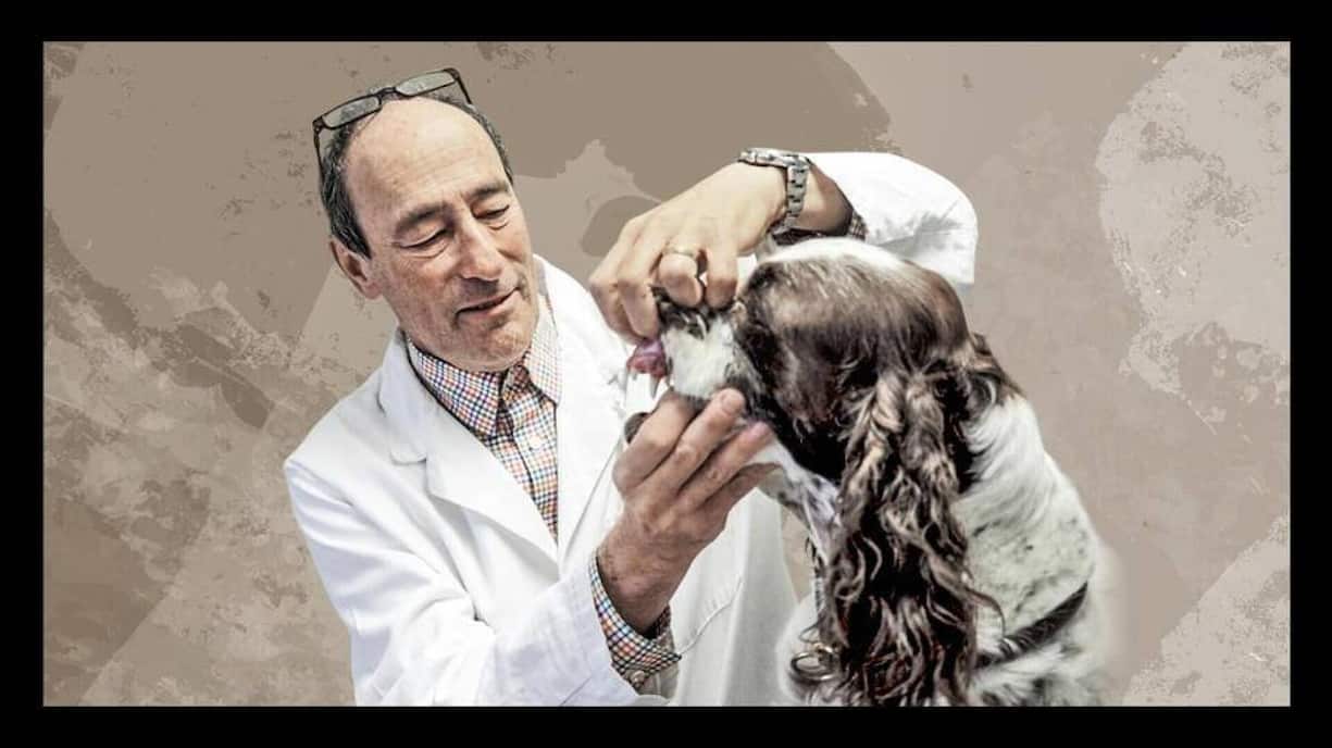 Le vétérinaire: Marc Bär continue d'exercer son métier même à l'âge de la retraite. Il est également actif en tant qu'investisseur, par exemple en tant qu'actionnaire de l'entreprise industrielle Schlatter.