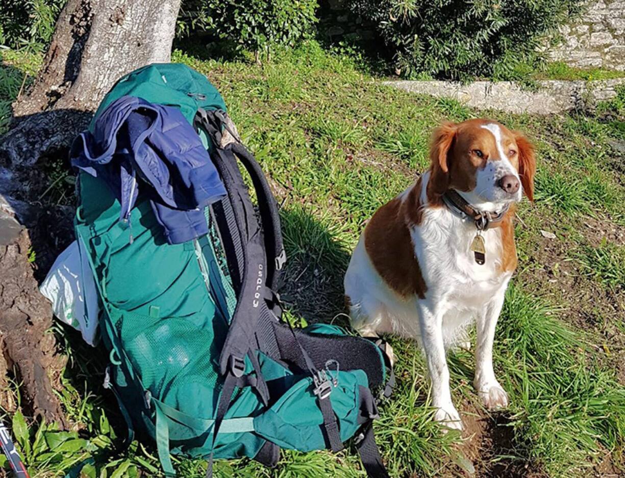 Des kilomètres de marche.