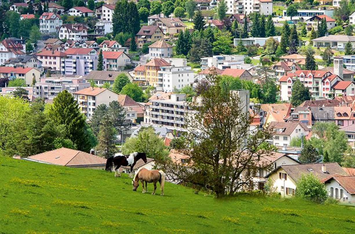 file74y48za1h1c3sfijjsr