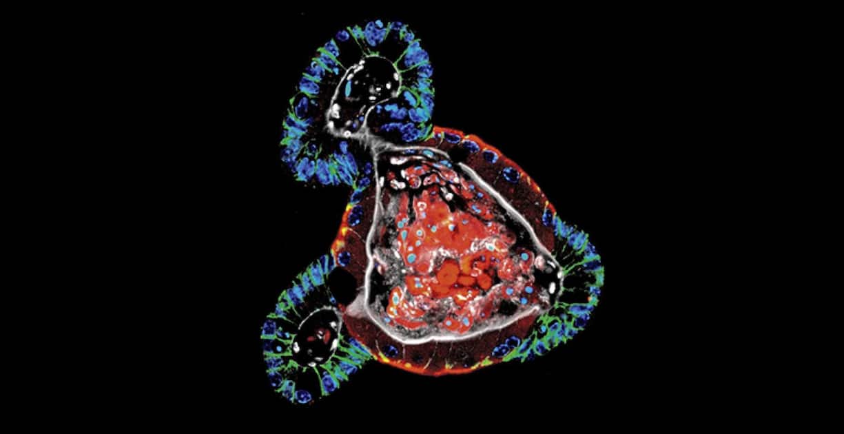 file7cvs9xviqhlpillh87c