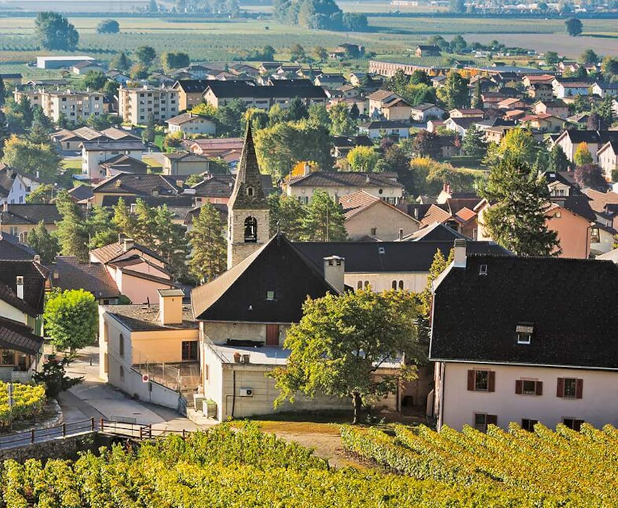 file74y48zyj240ad2tojso