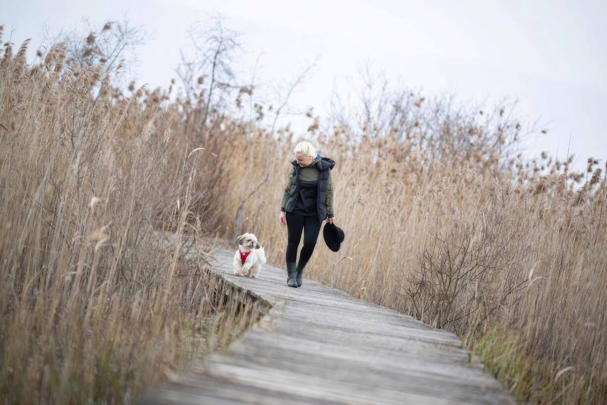 Titan, son fidèle shih tzu, l’accompagne (presque) partout.
