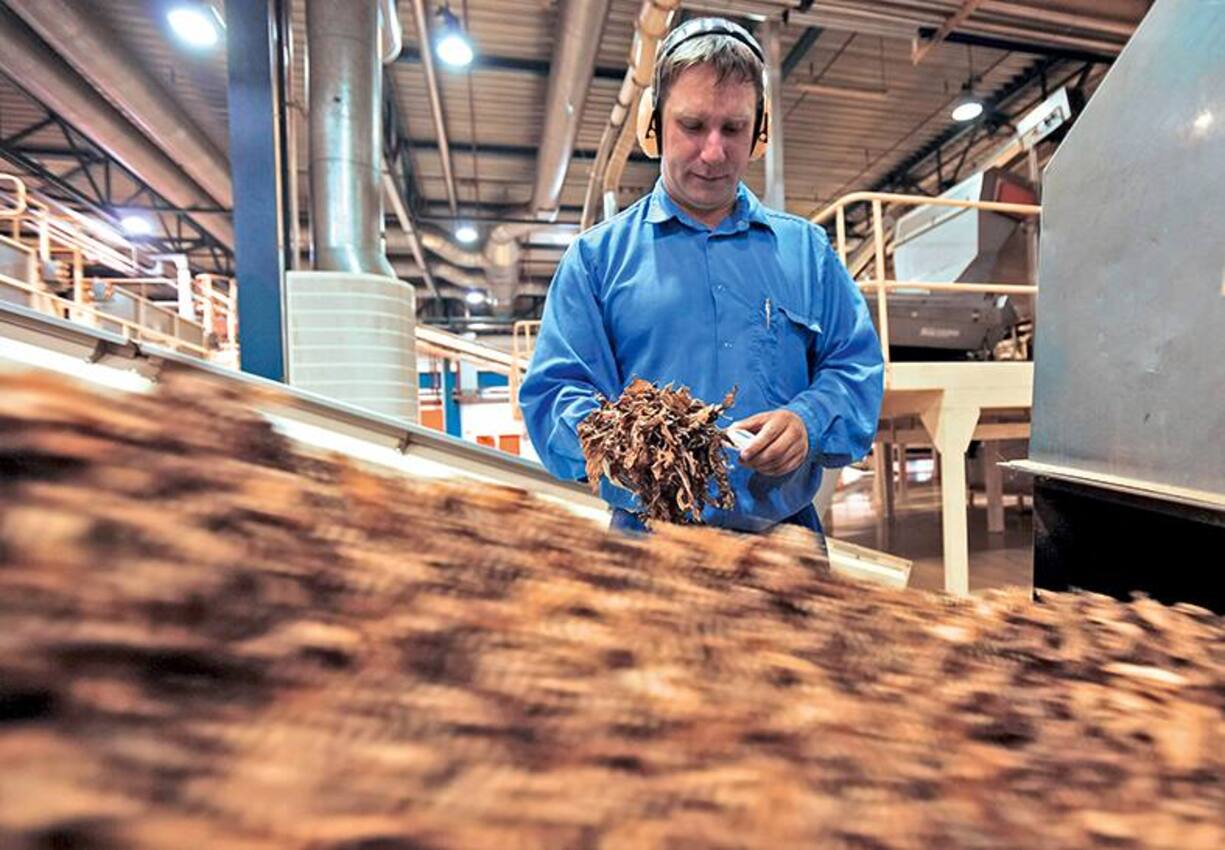 file72h6ehoa6ab14nju4ccq