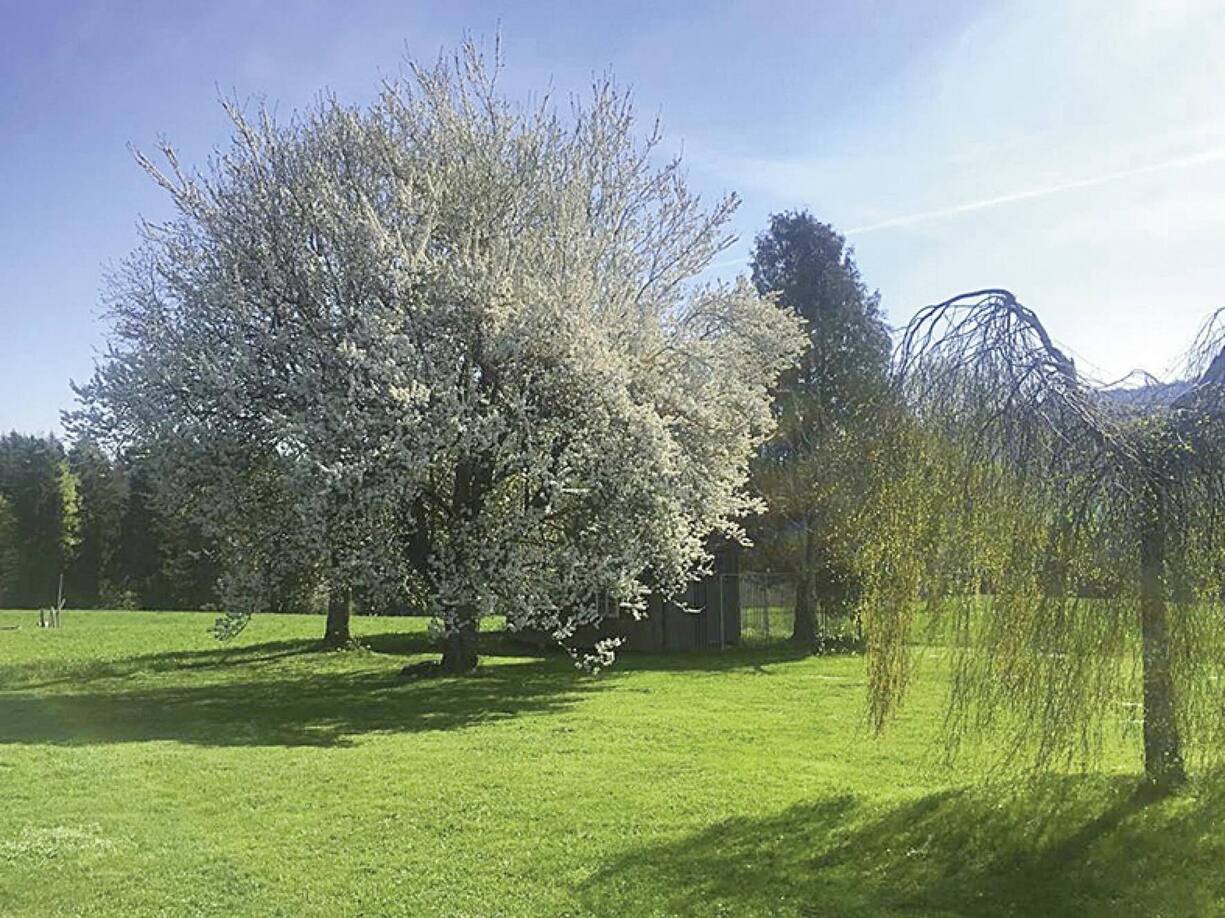 file7cgx3pgpj8w1mkloo1l9