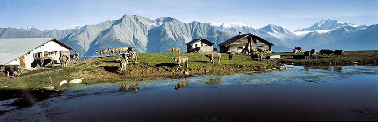 file7aj2r7t3wrbjrtjbmym