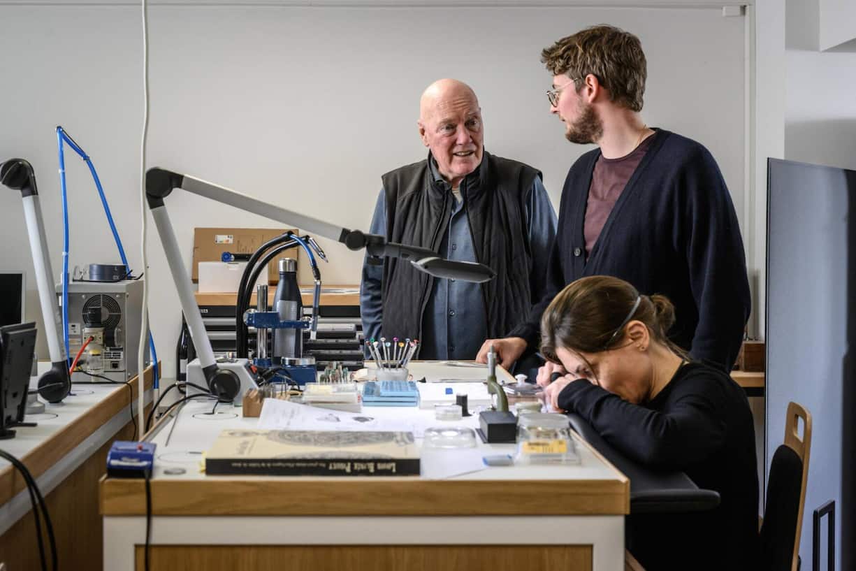 file7xtog1o4ambcuz3nh0a