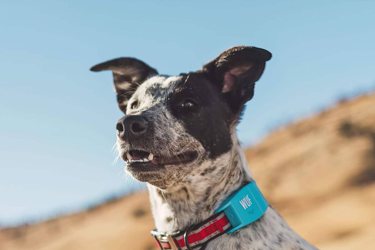 file7o44jnxxf9s1bdzqgamg