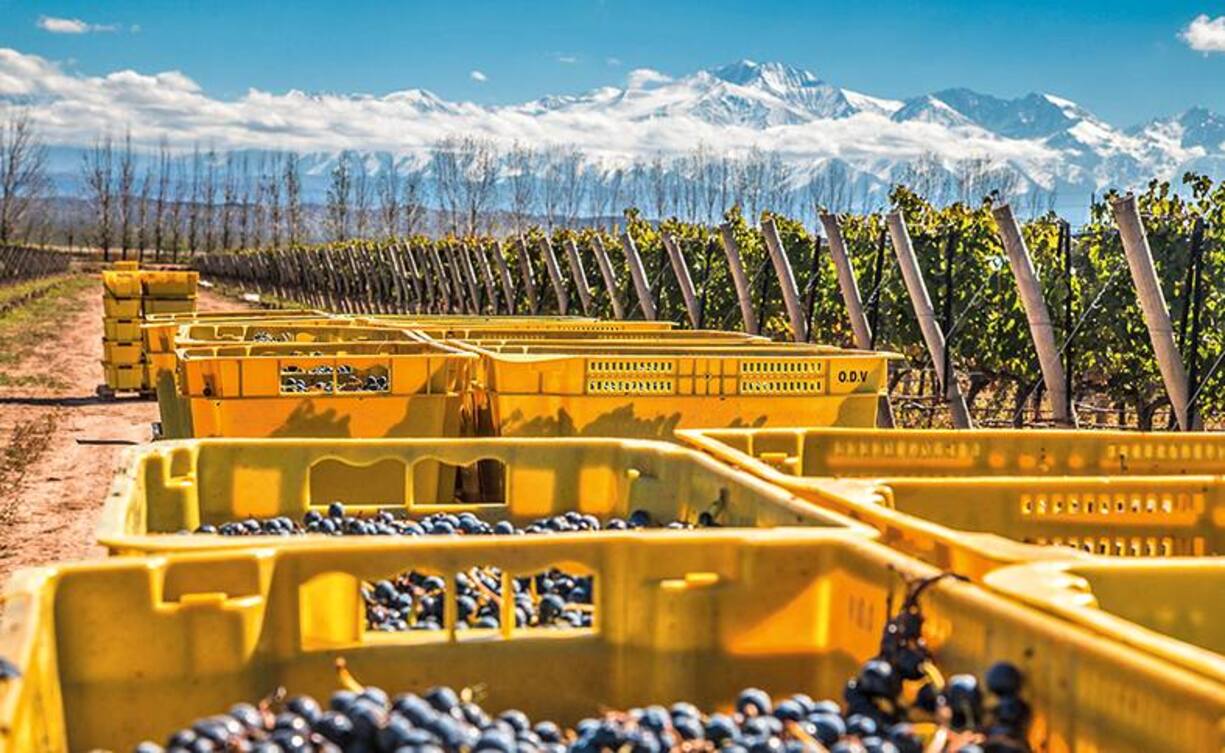 file74y4hepf8ua1bl5ehjsi