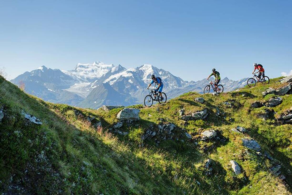 file746e0ifh3k11gqa2en8s