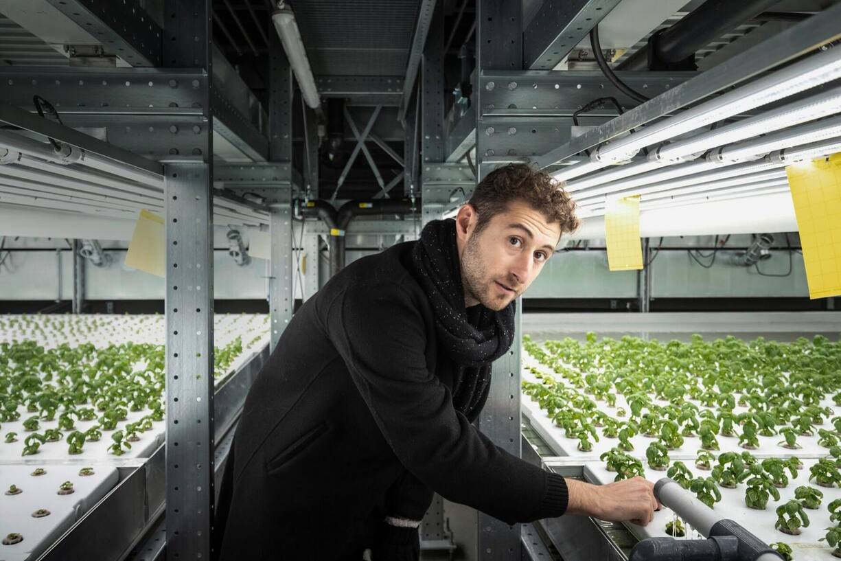 Mark Essam Zahran, Gründer und CEO Yasai, Zürich