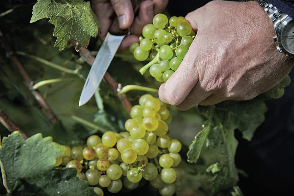 file7bzch1hv0a8pq8xr8ci