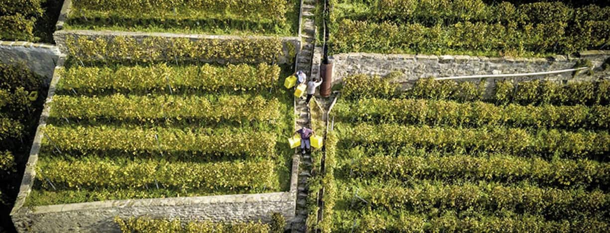 file7bzch1dmjknv86318cf