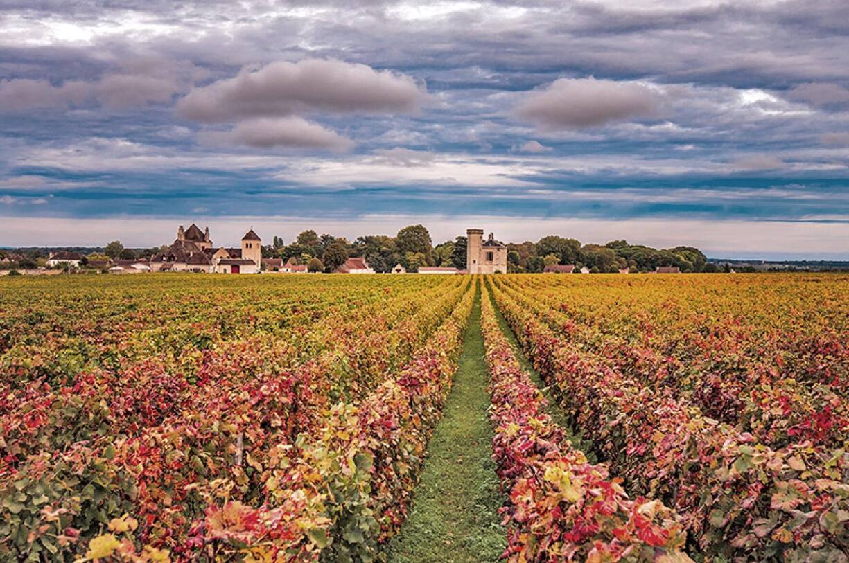 file7cvsloavruqf6x078yl