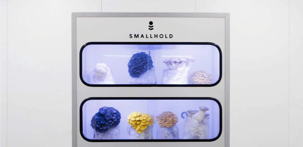 Smallhold