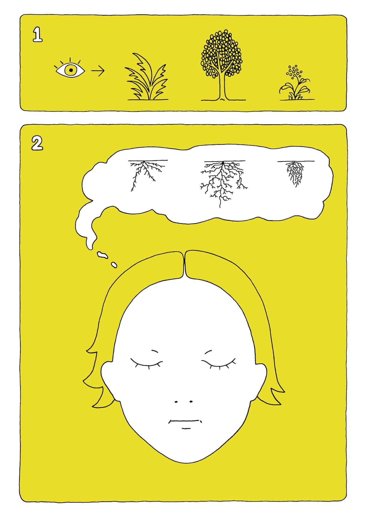 Racines, instruction de l’artiste Caroline Bachmann, 2021