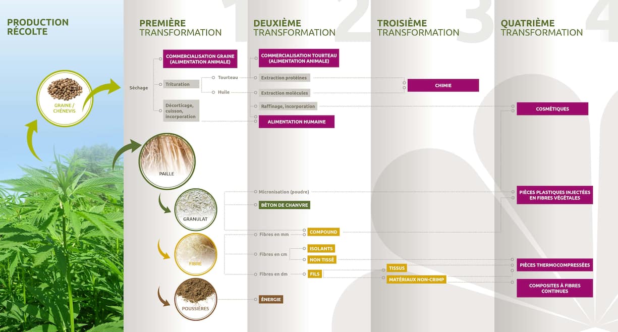 Utilisations et produits dérivés du chanvre