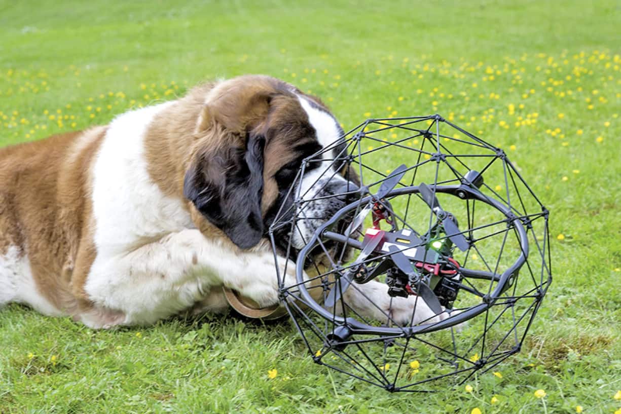 file7ap3gn2fuufqz91vnvp