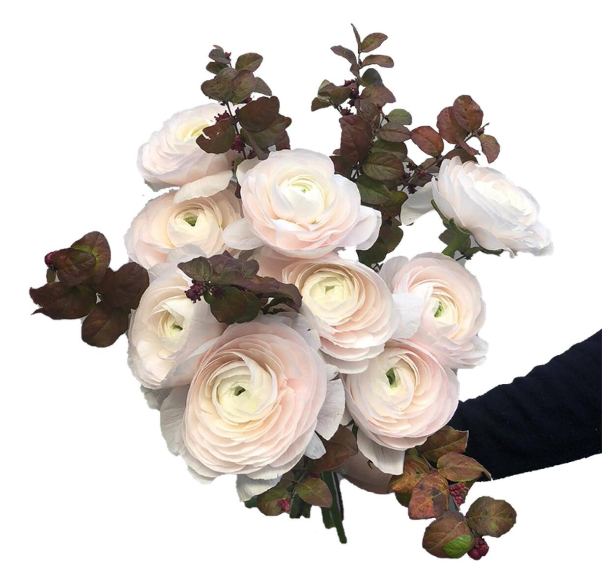 file7do453jmg0mem4g11w1