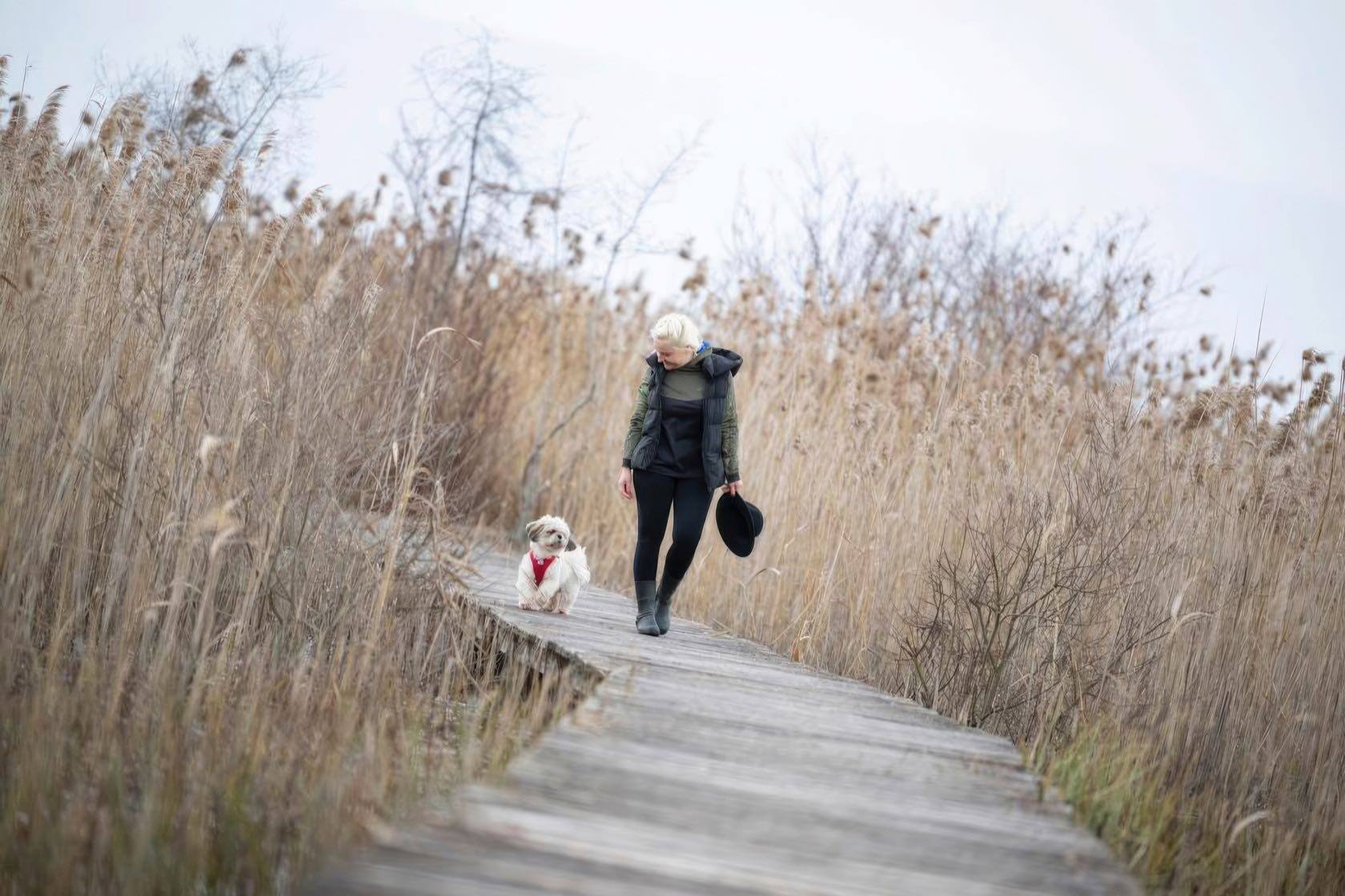 Titan, son fidèle shih tzu, l’accompagne (presque) partout.