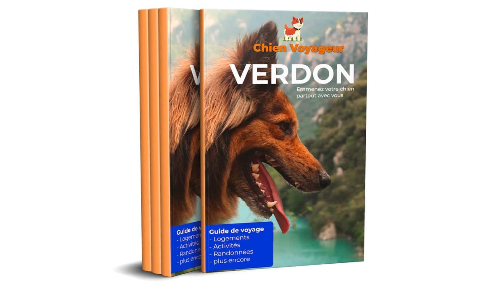 Guide touristique pour des vacances avec son chien