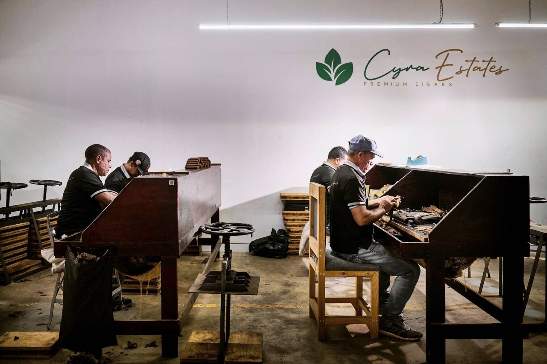 Des employï¿¯ï¾¿ï¾ï¿¯ï¾¾ï¾©s de Tres Hermanos confectionnent ï¿¯ï¾¿ï¾ï¿¯ï¾¾ï¾  la mains des cigares hauts de gammes dans les locaux de l'entreprise, le jeudi 28 septembre 2023 ï¿¯ï¾¿ï¾ï¿¯ï¾¾ï¾  Santiago de los Caballeros