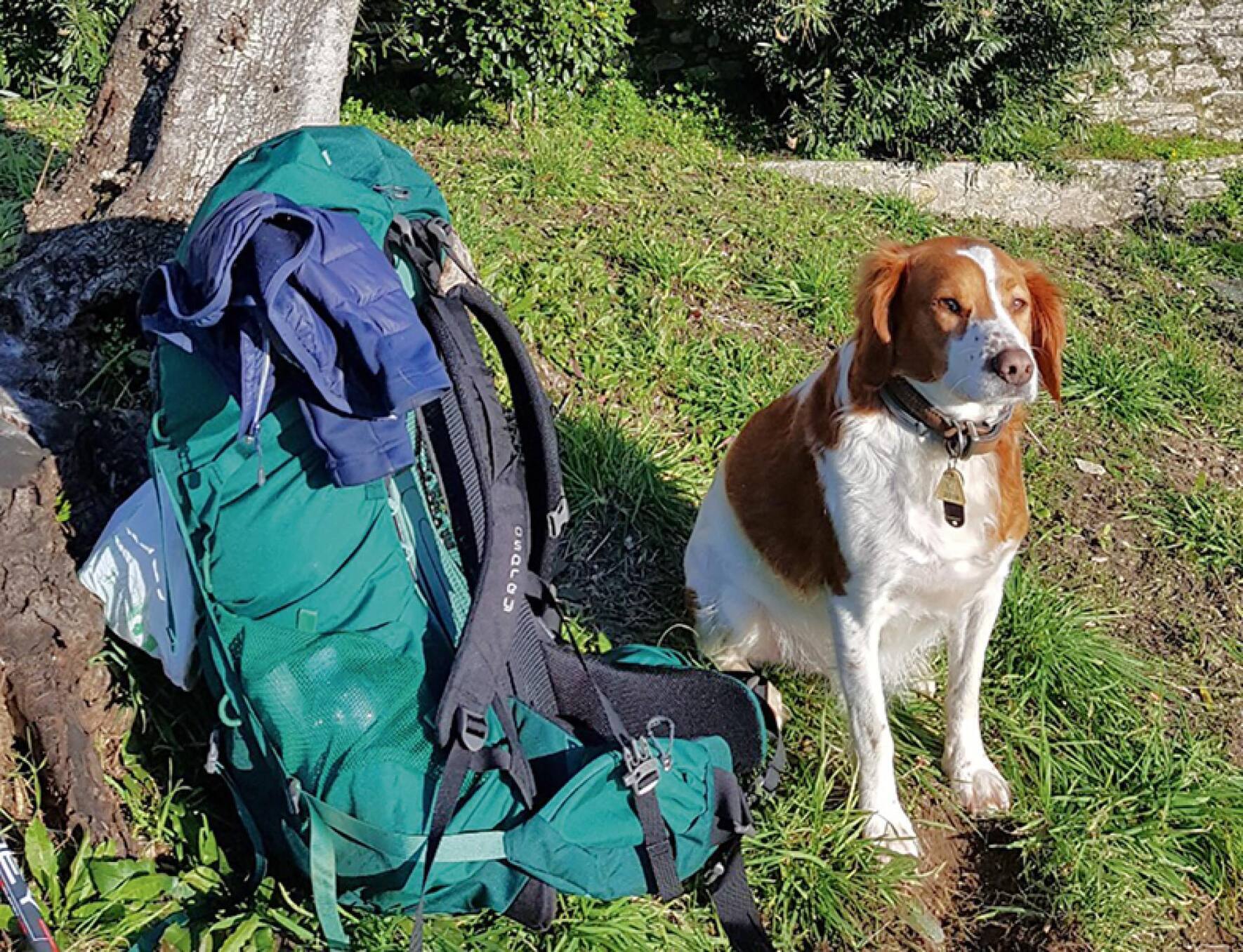 Des kilomètres de marche.