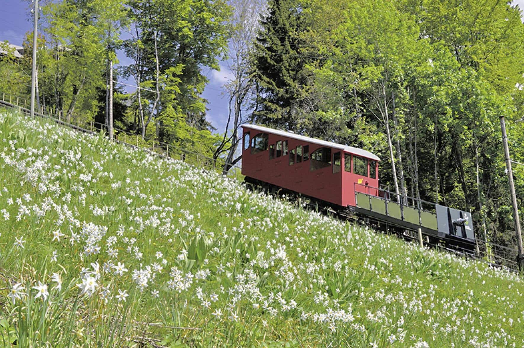 file7ammb98ba0psuim2n8k