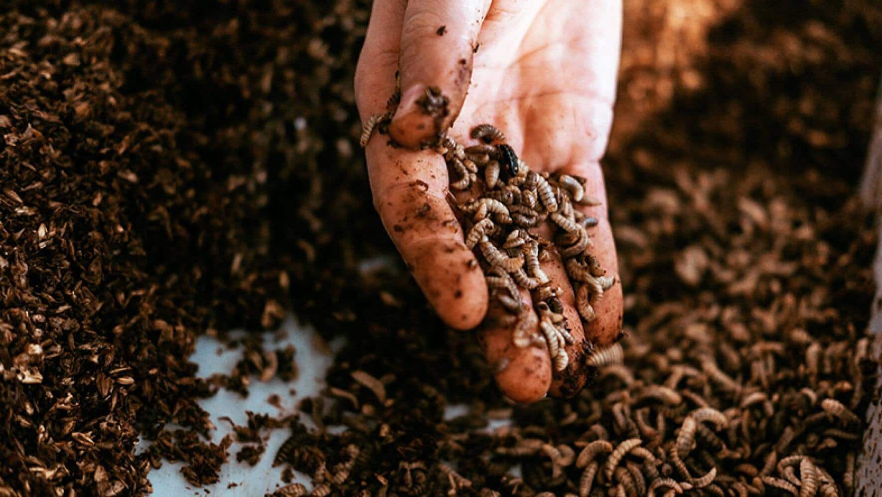 file7du9w15lp5k1sp44b8x