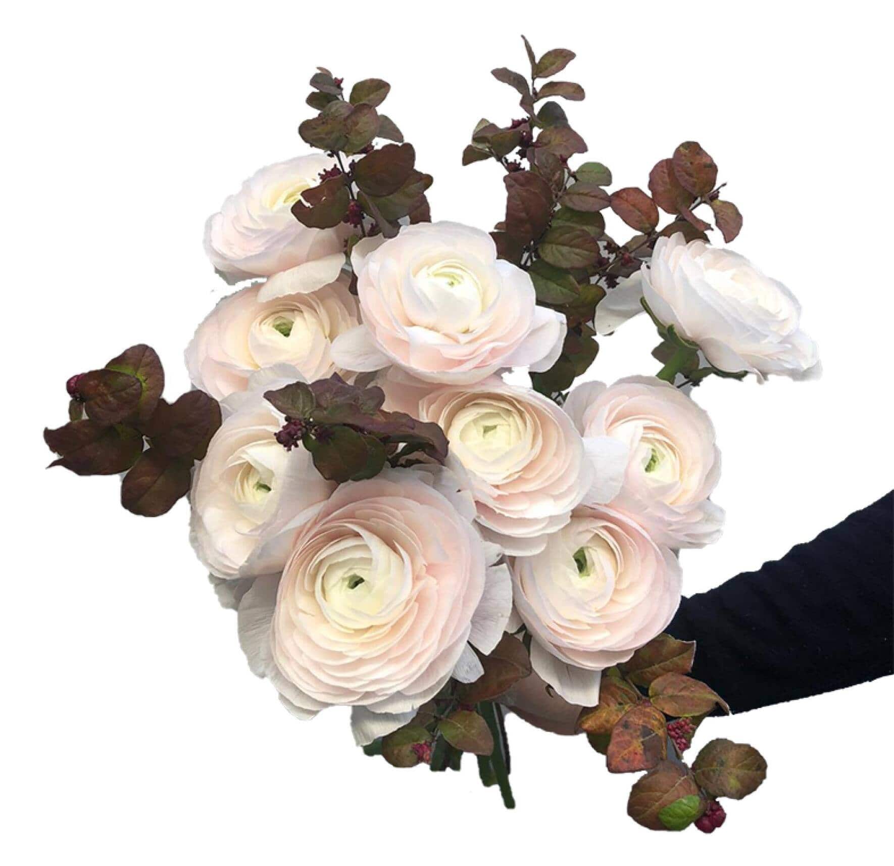 file7do453jmg0mem4g11w1