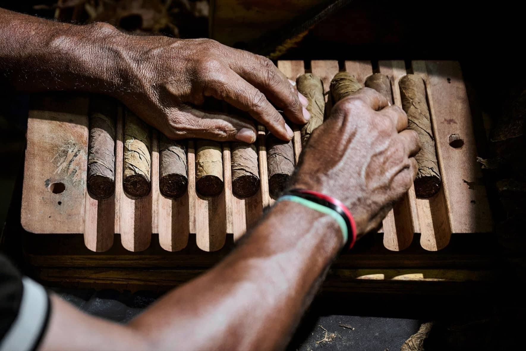 Des employï¿¯ï¾¿ï¾ï¿¯ï¾¾ï¾©s de Tres Hermanos confectionnent ï¿¯ï¾¿ï¾ï¿¯ï¾¾ï¾  la mains des cigares hauts de gammes dans les locaux de l'entreprise, le jeudi 28 septembre 2023 ï¿¯ï¾¿ï¾ï¿¯ï¾¾ï¾  Santiago de los Caballeros