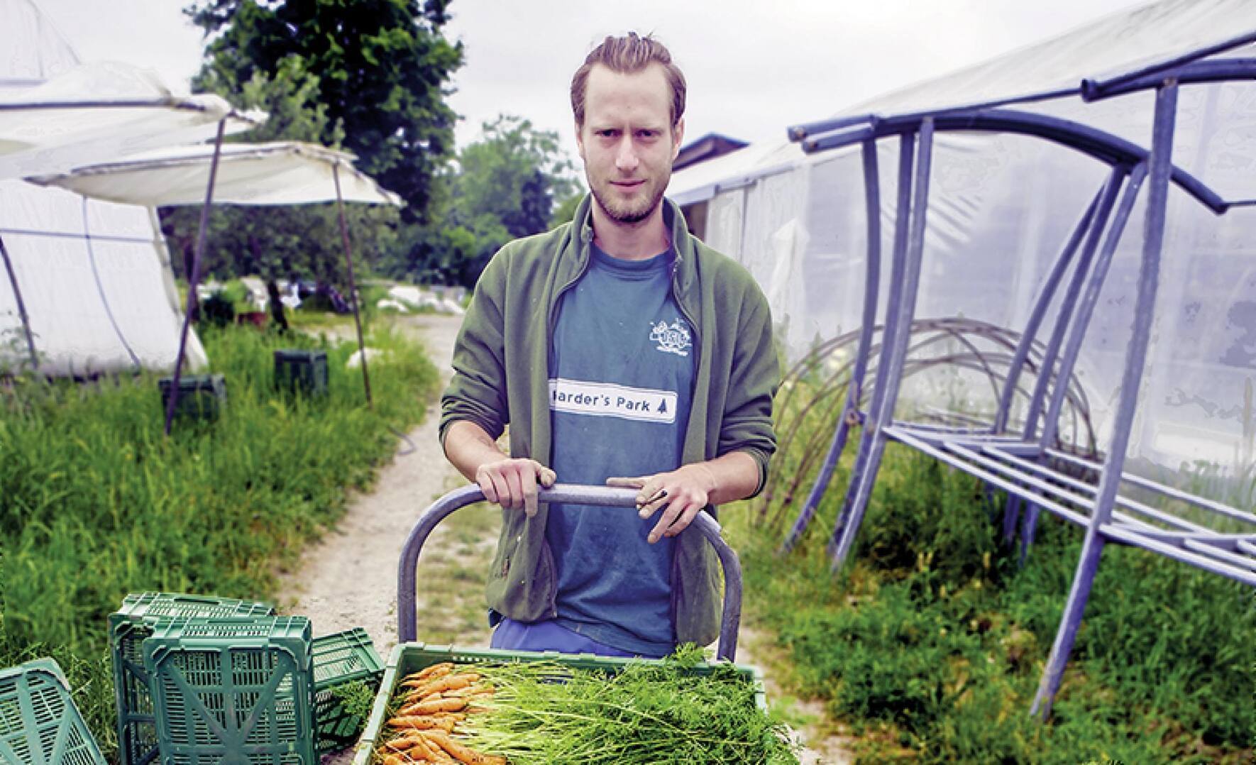 file7aj2r7jm7npl1l0hbq6