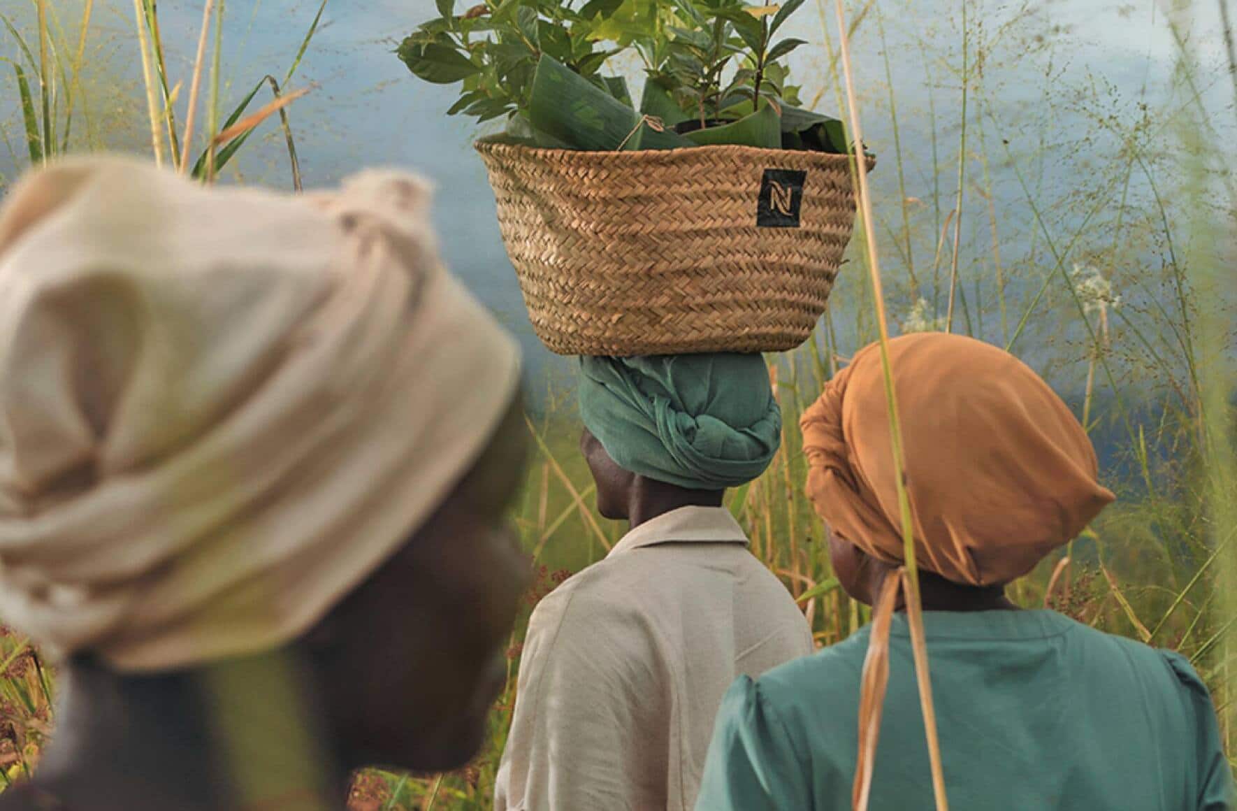 Avec l'ONG Rainforest Alliance.