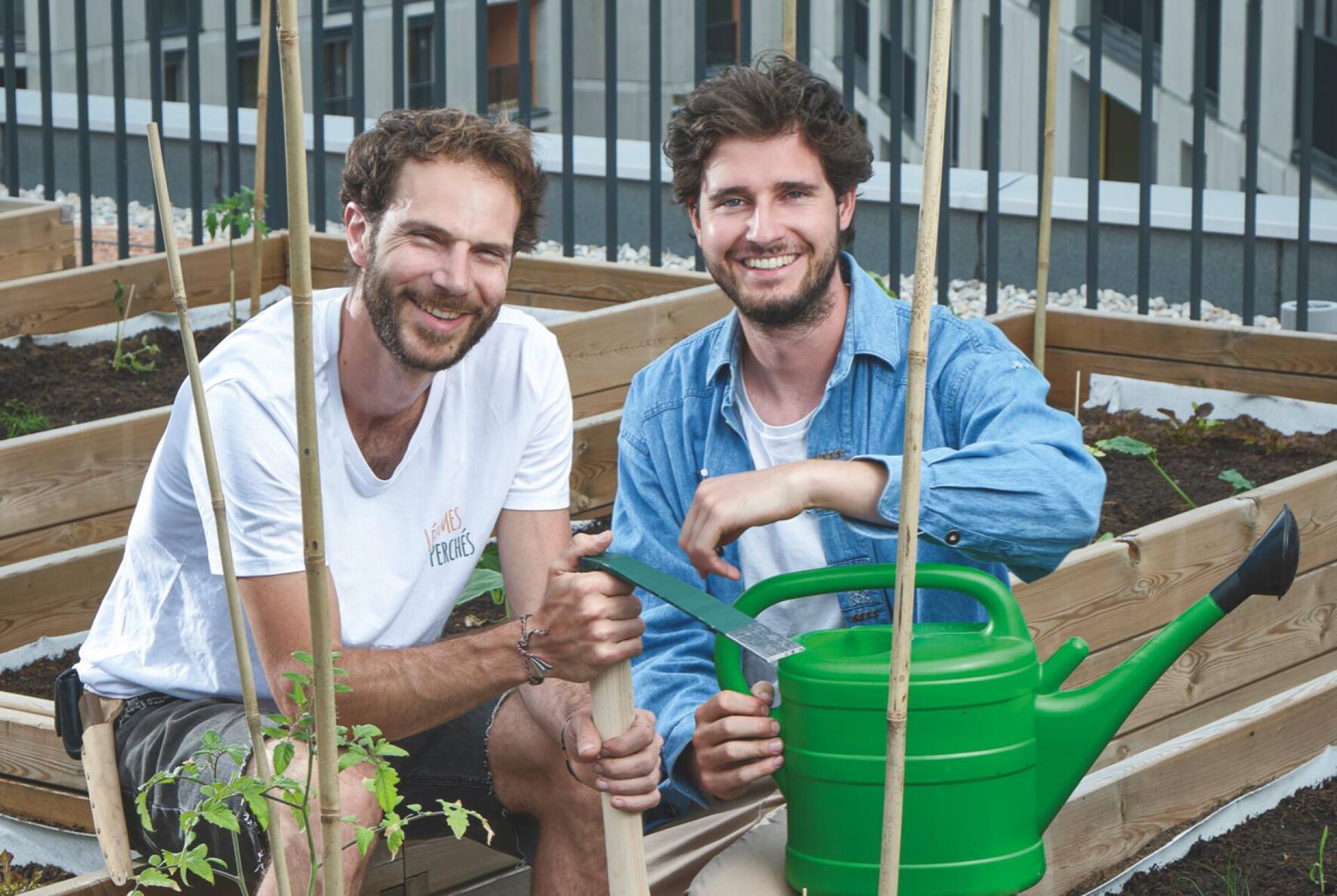 Thomas Verduyn et David Bollier, Légumes Perchés