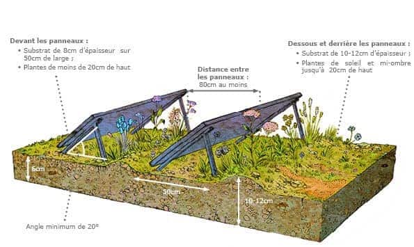 toitures-biosolaires-2