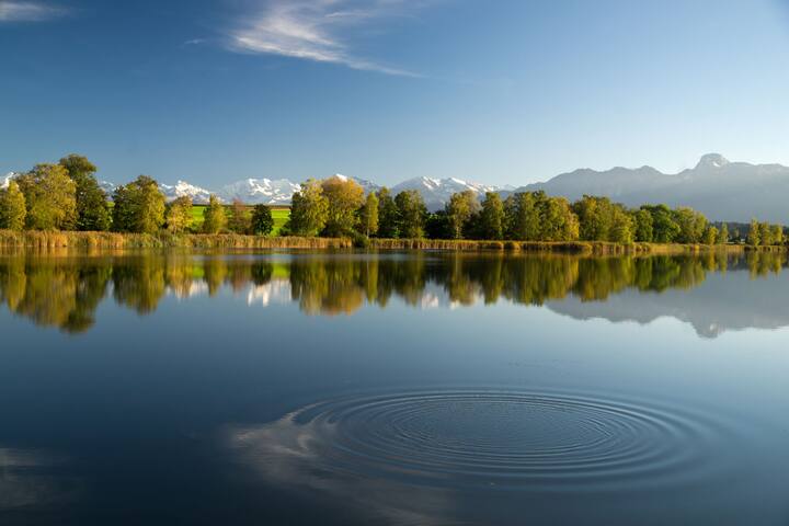 Gerzensee